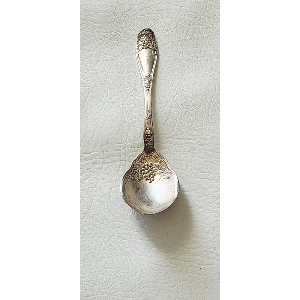 Wm Roger & Son AA Antique Sugar Nutshell Grape Pattern Silverplated Spoon 6"